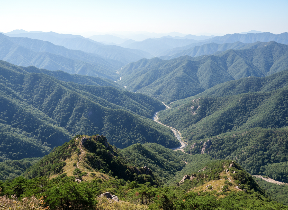 강원/제주 서비스 지역
